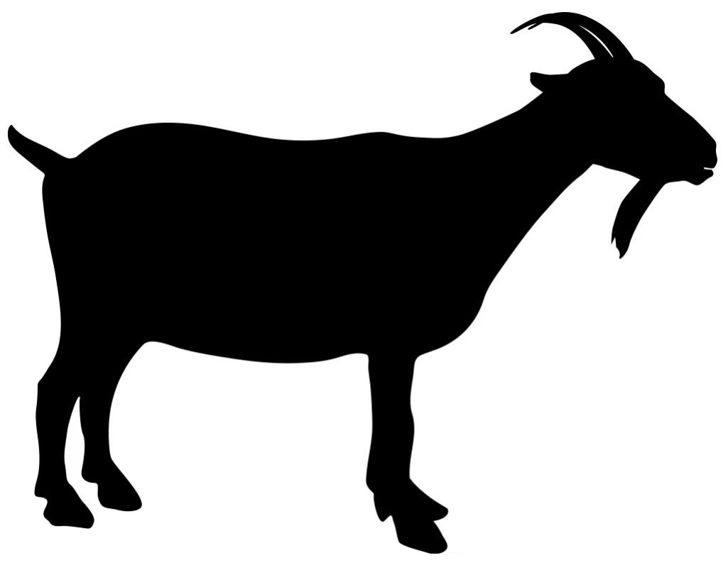 Kozí