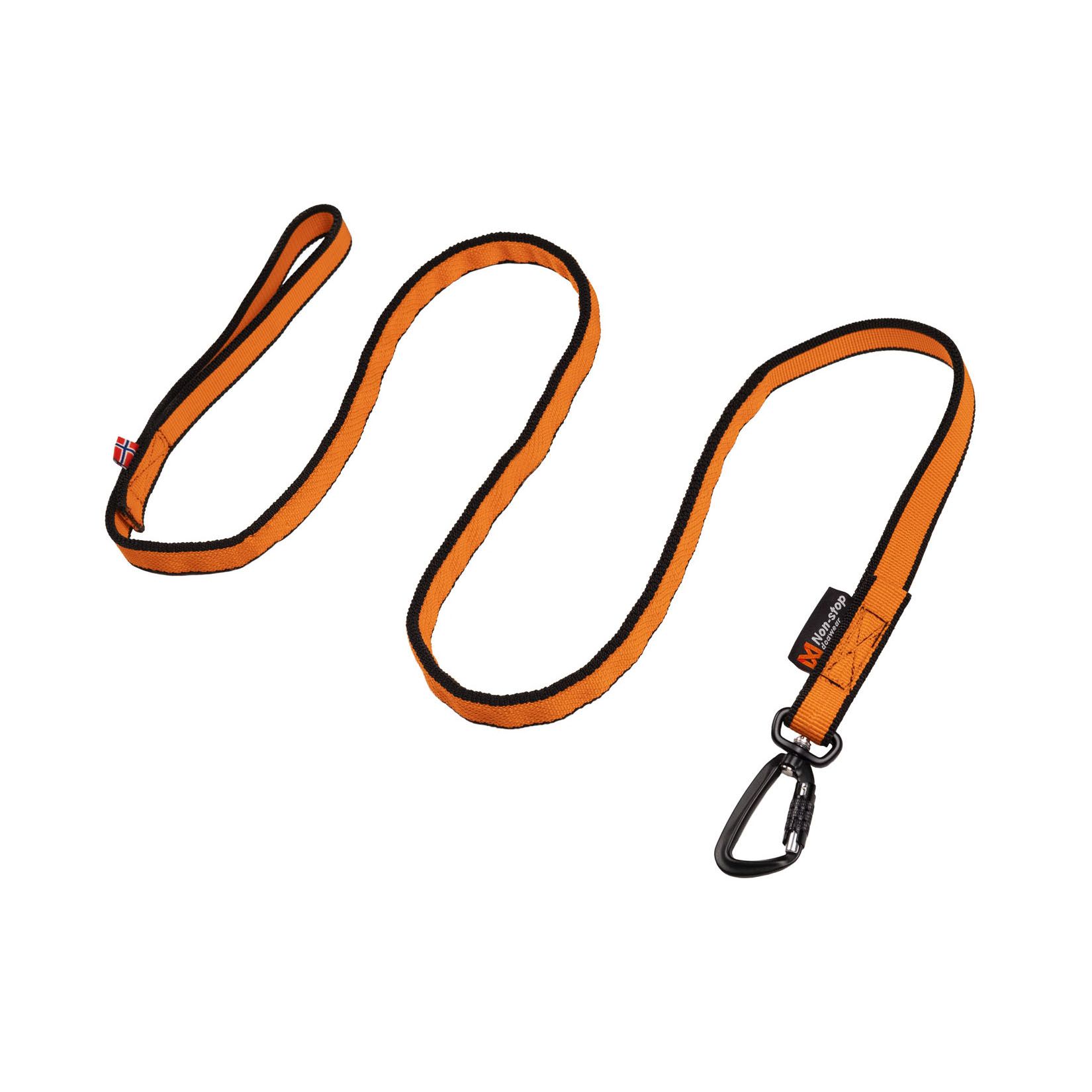 Bungee Leash