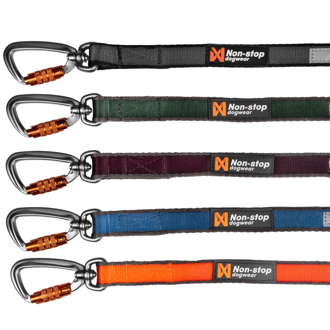Move Leash