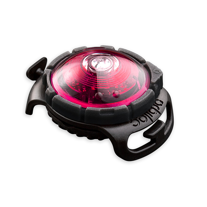 Orbiloc Pink LED světlo na obojek