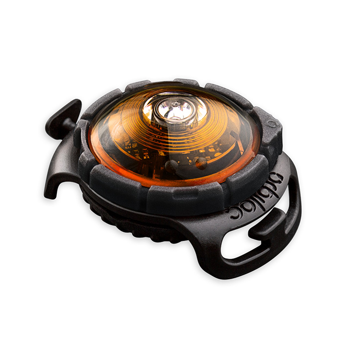 Orbiloc Amber LED světlo na obojek