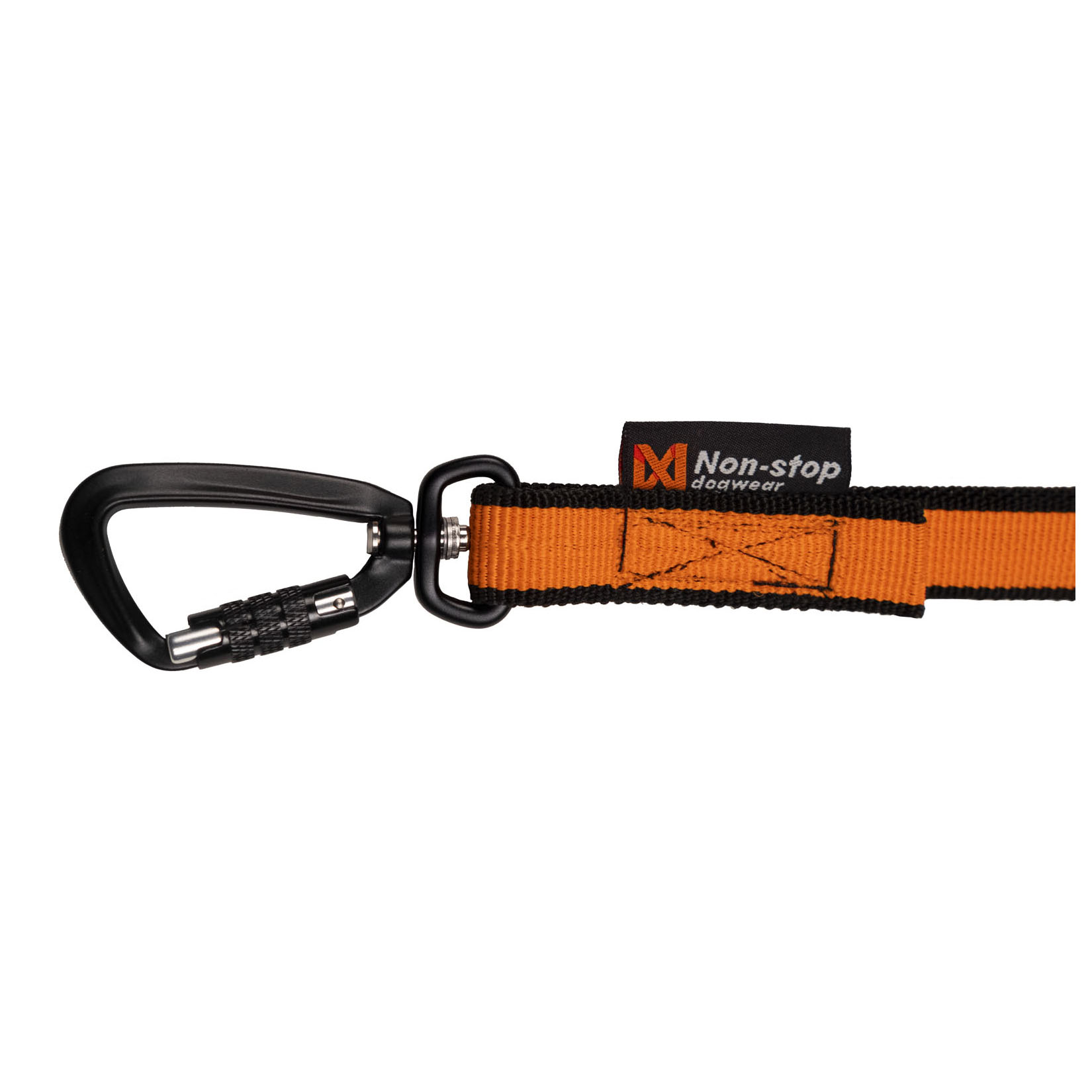 Bungee Leash