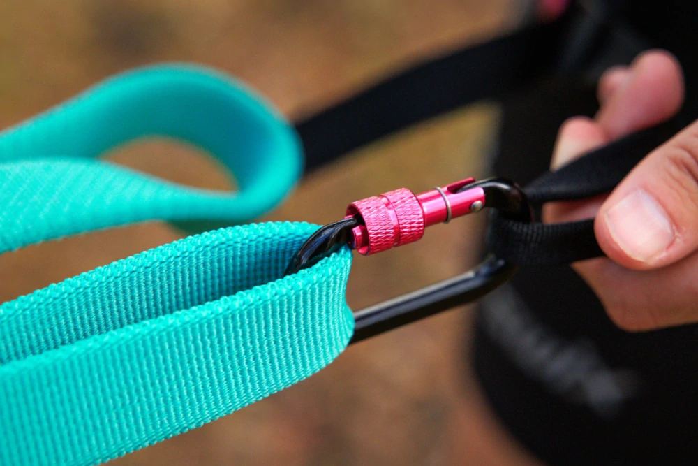 Odpružené vodítko Bungee leash - aqua