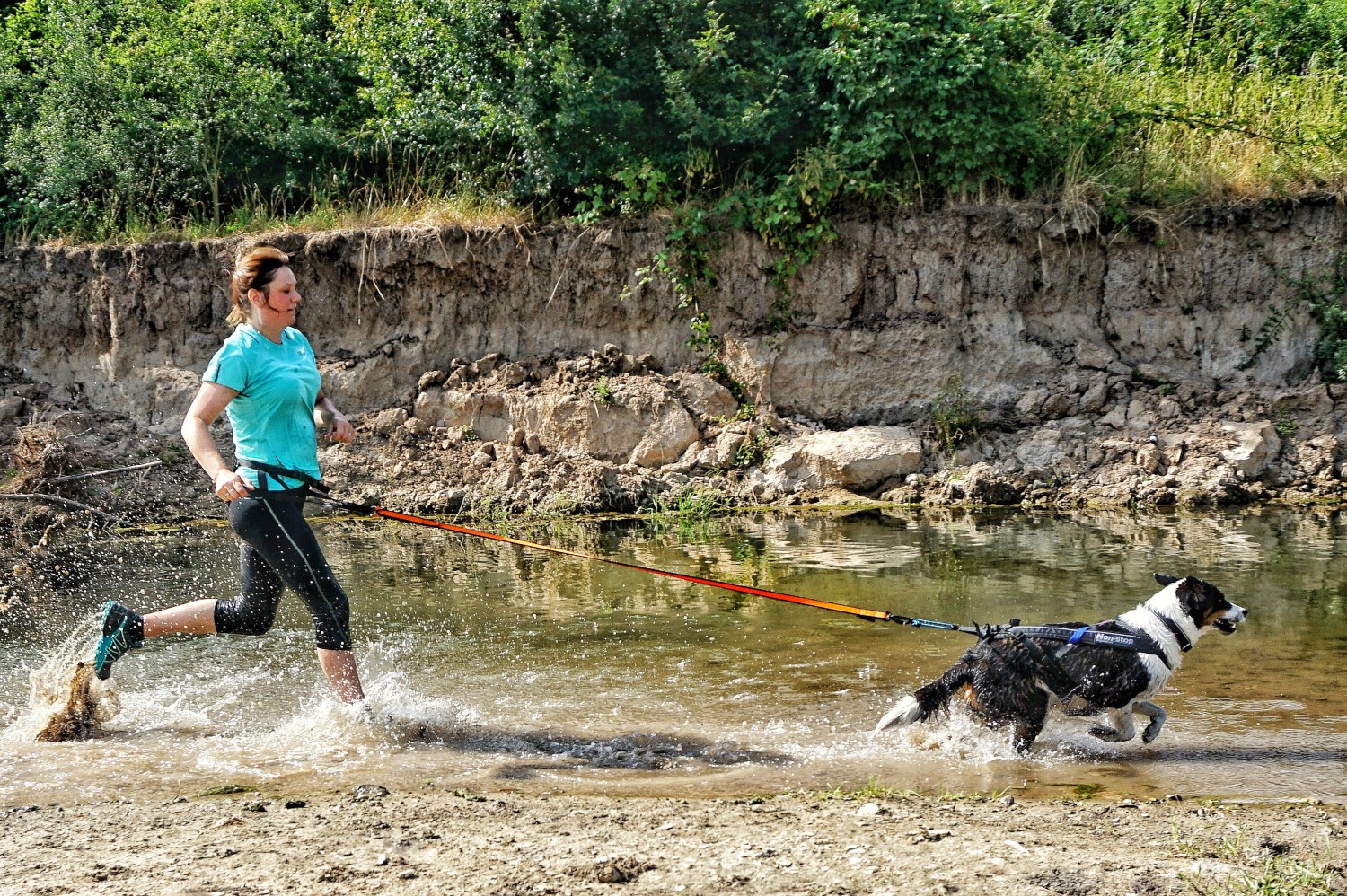 Bungee Leash