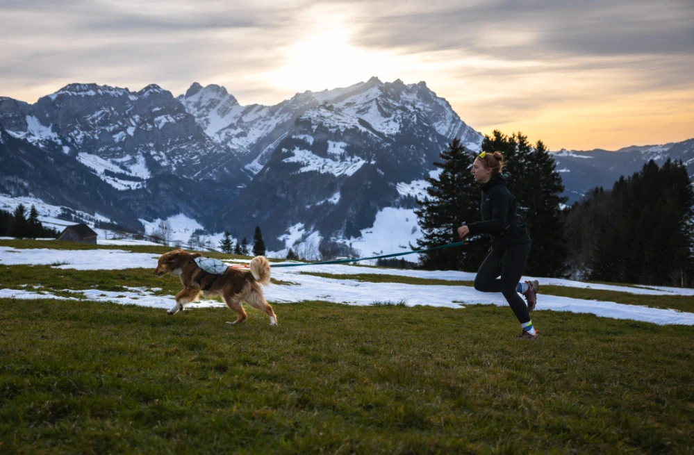 Non-stop dogwear Trail light dog batůžek