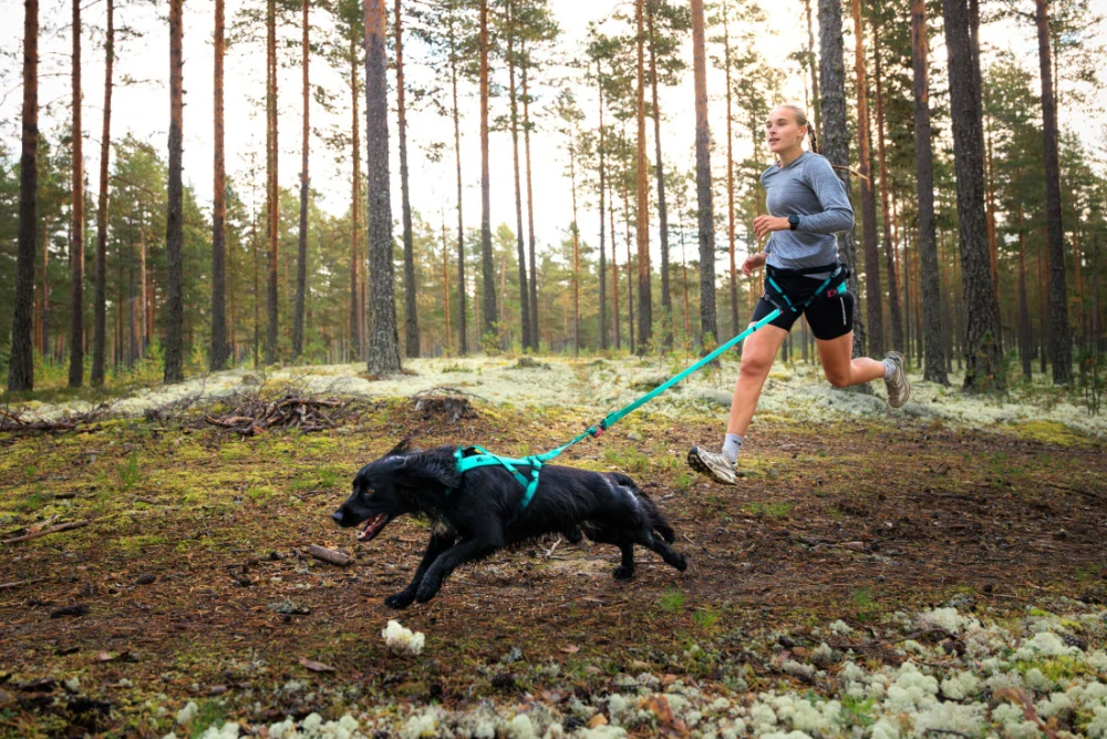 Opasek Canix belt 2.0 - aqua
