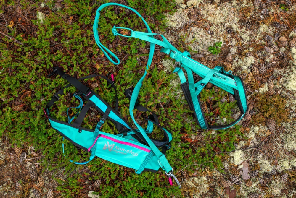 Opasek Canix belt 2.0 - aqua