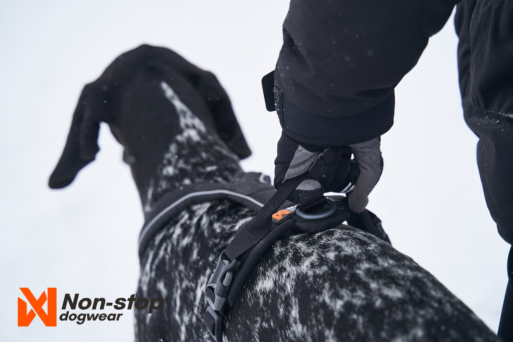 Postroj Line Grip