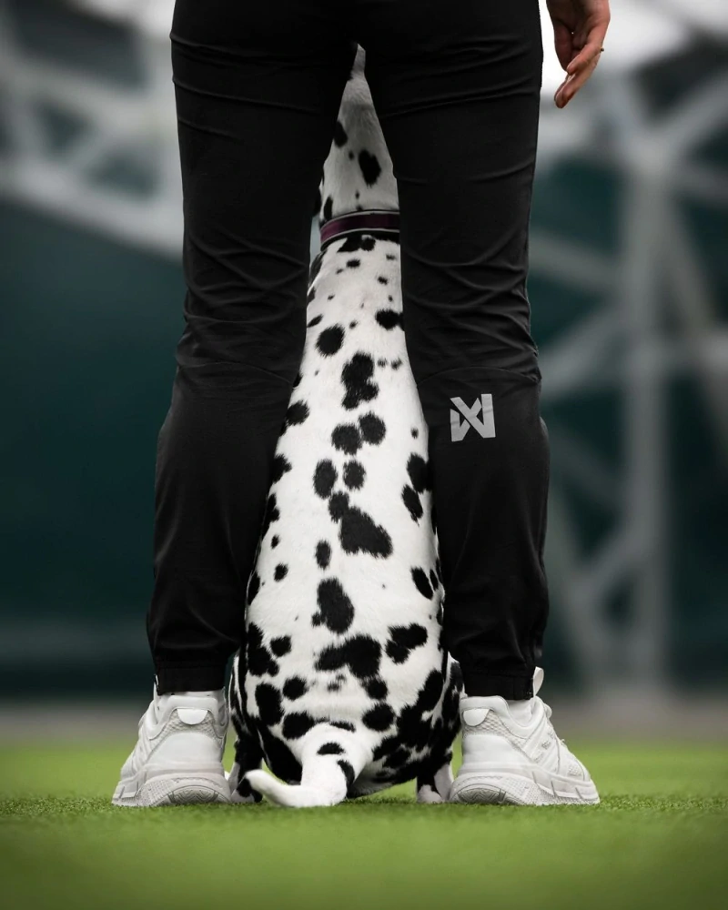 Canix warm-up pants