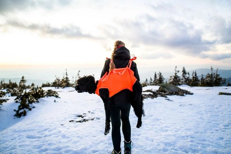 Záchranný vak Dog rescue sling